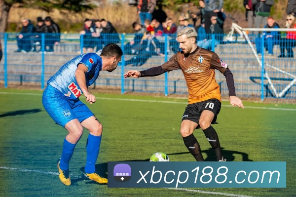 线上彩票平台发展历程